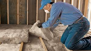 Best Eco-Friendly or Green Insulation Solutions in Silver Springs, FL