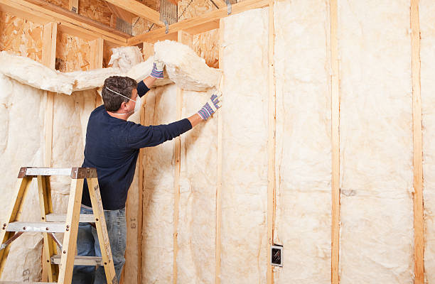 Best Radiant Barrier Insulation in Silver Springs, FL